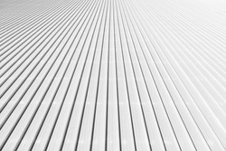 The sheet metal roof texture in the black and white scene 