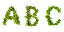Letters A B and C from decorative ivy on a white background. Letters A B and C from ivy leaves. Leaves alphabet. Font from leaves isolated on white background