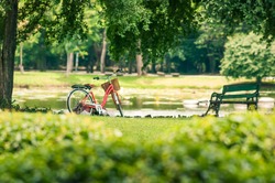 Red bicycle in fresh summer park