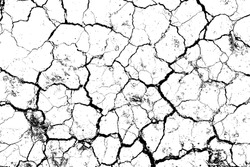 The cracks texture white and black. Vector background.