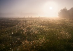Sunrise over foggy meadow 