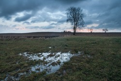 meadow with puddle at thaw