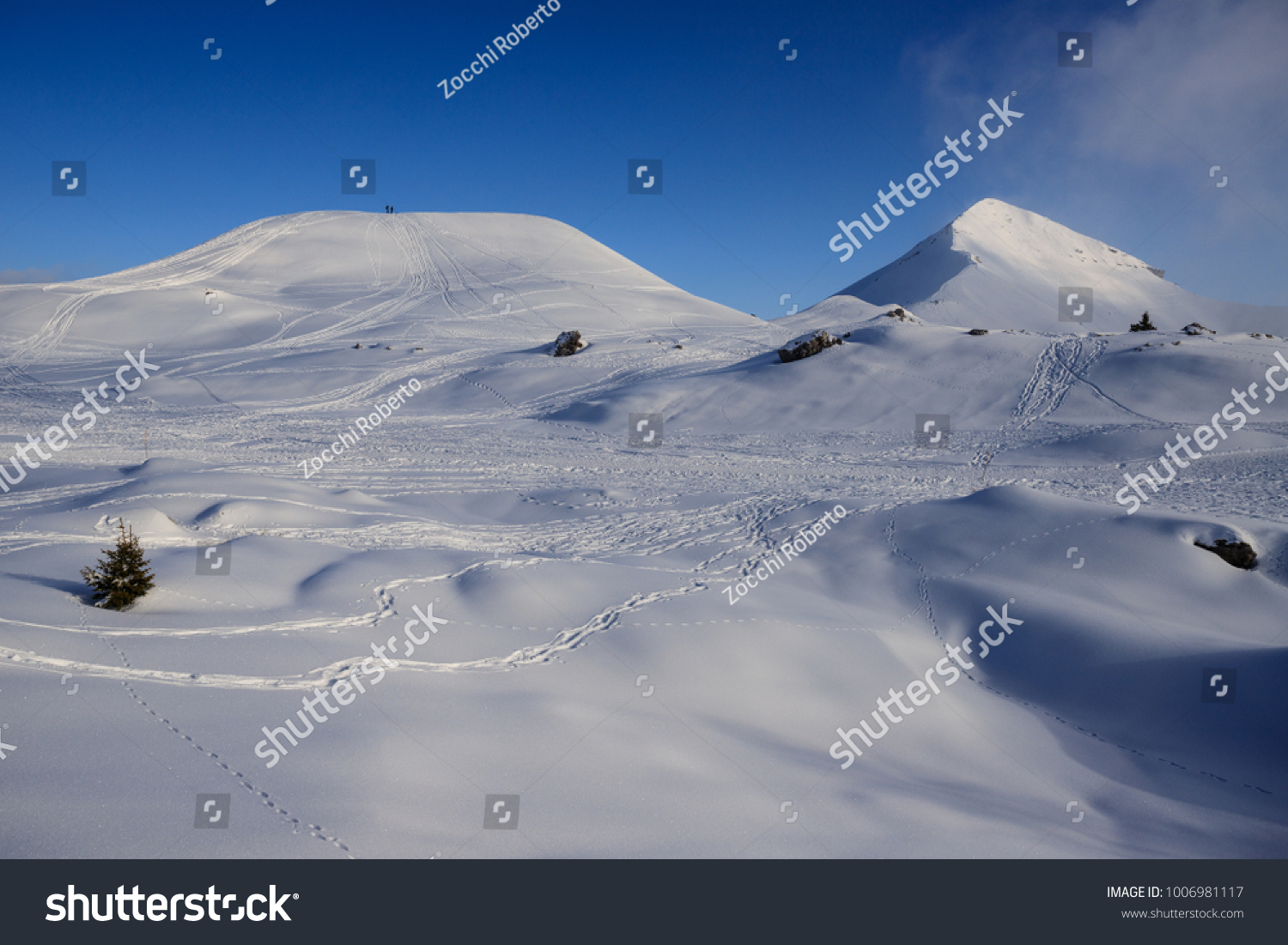 28 Monte Sodadura Images, Stock Photos & Vectors | Shutterstock