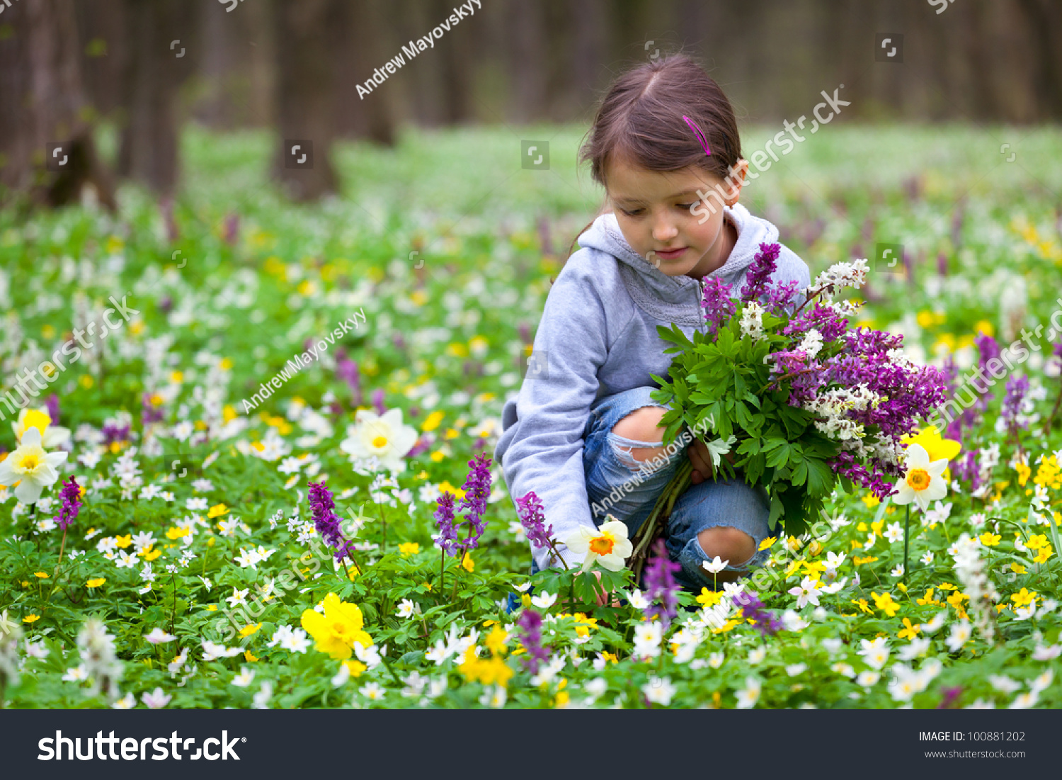Собирает цветы картинка