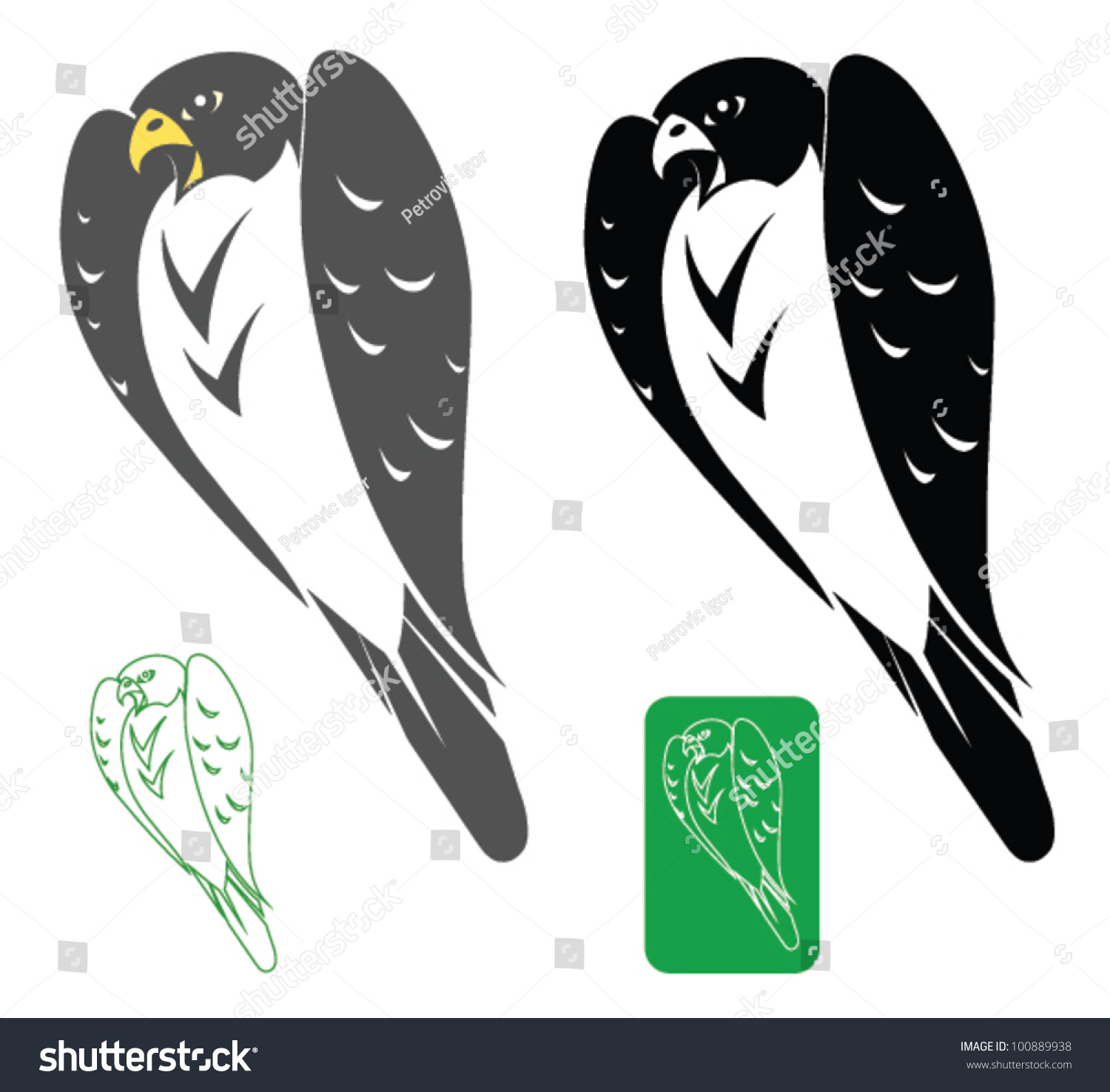 Peregrine Falcon Vector Illustration Stock Vector Royalty Free 100889938 Shutterstock 8654