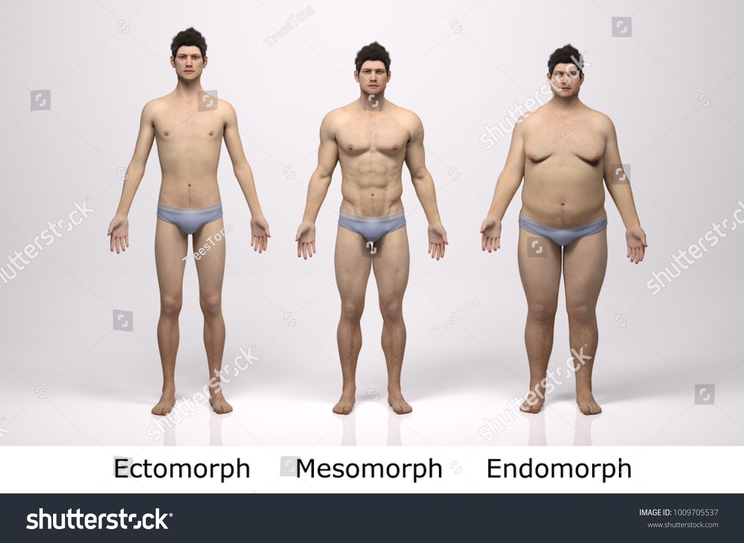 Mesomorph body Type