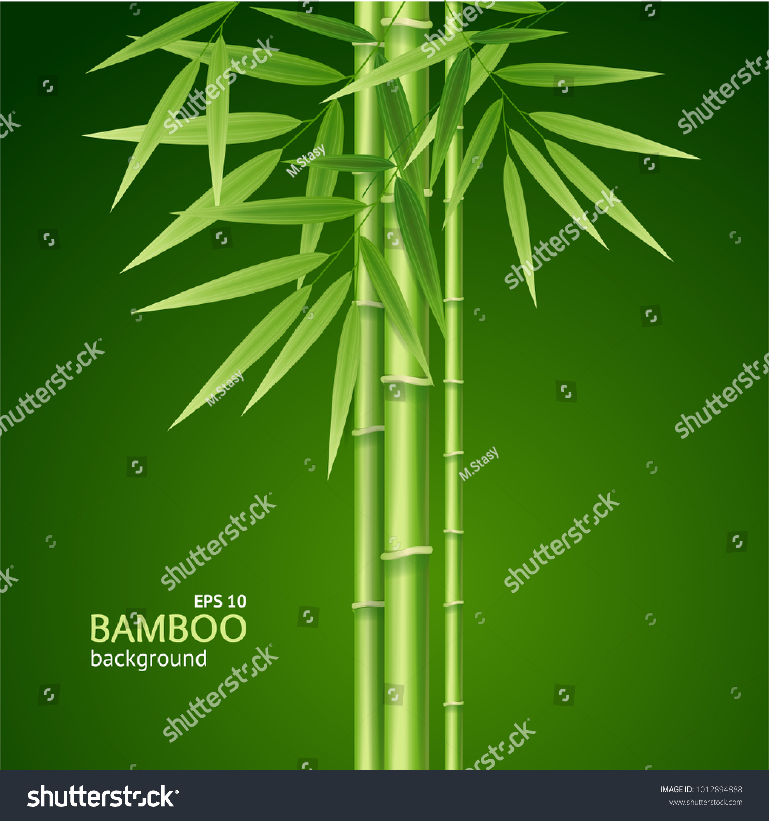 Realistic 3d Detailed Bamboo Shoots Background Stock Vector (Royalty ...