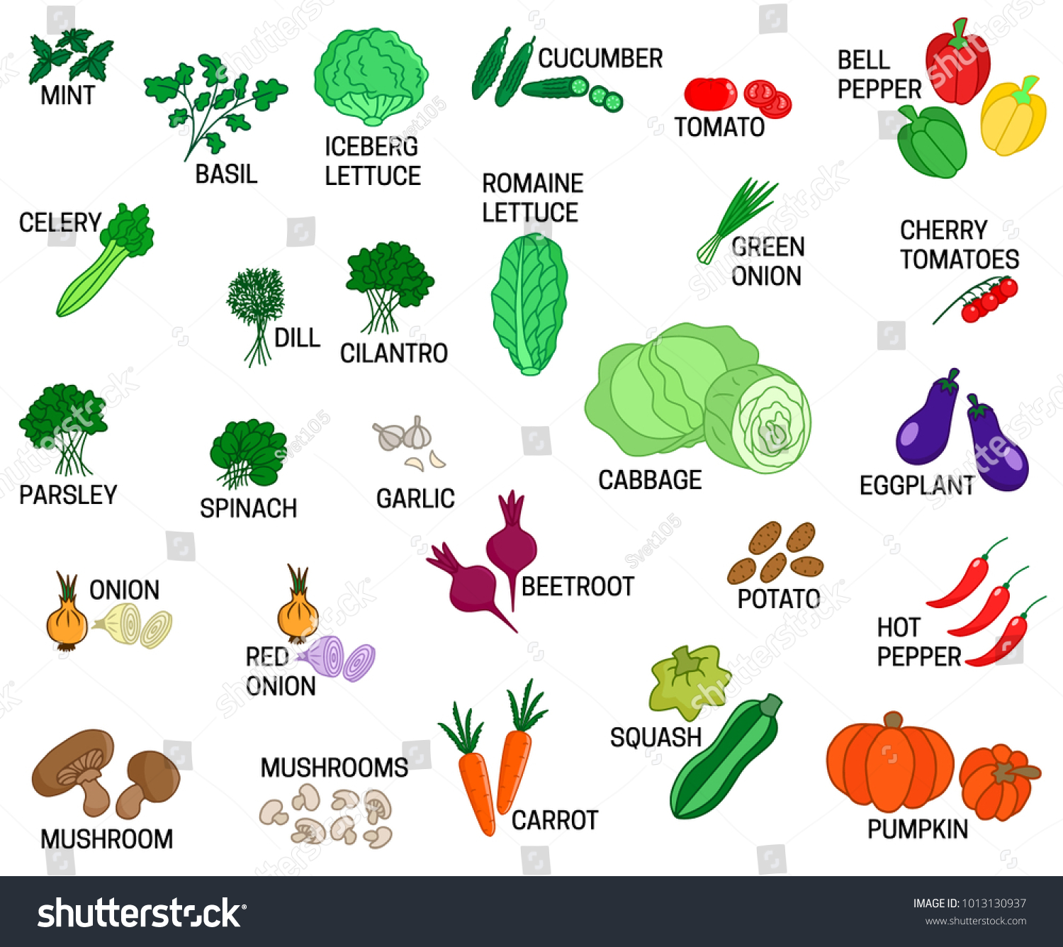 all kinds of vegetables