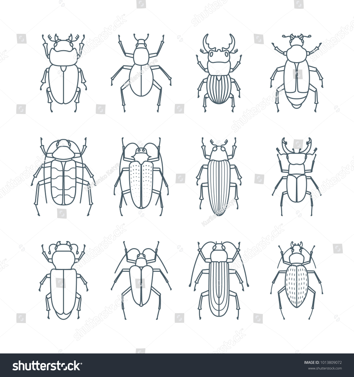 Set Simple Outline Beetle Icons Editable Stock Vector (Royalty Free ...