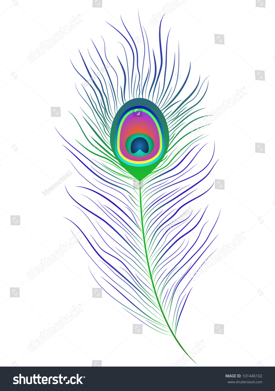 Illustration Peacock Feather On White Background Stock Vector (Royalty ...