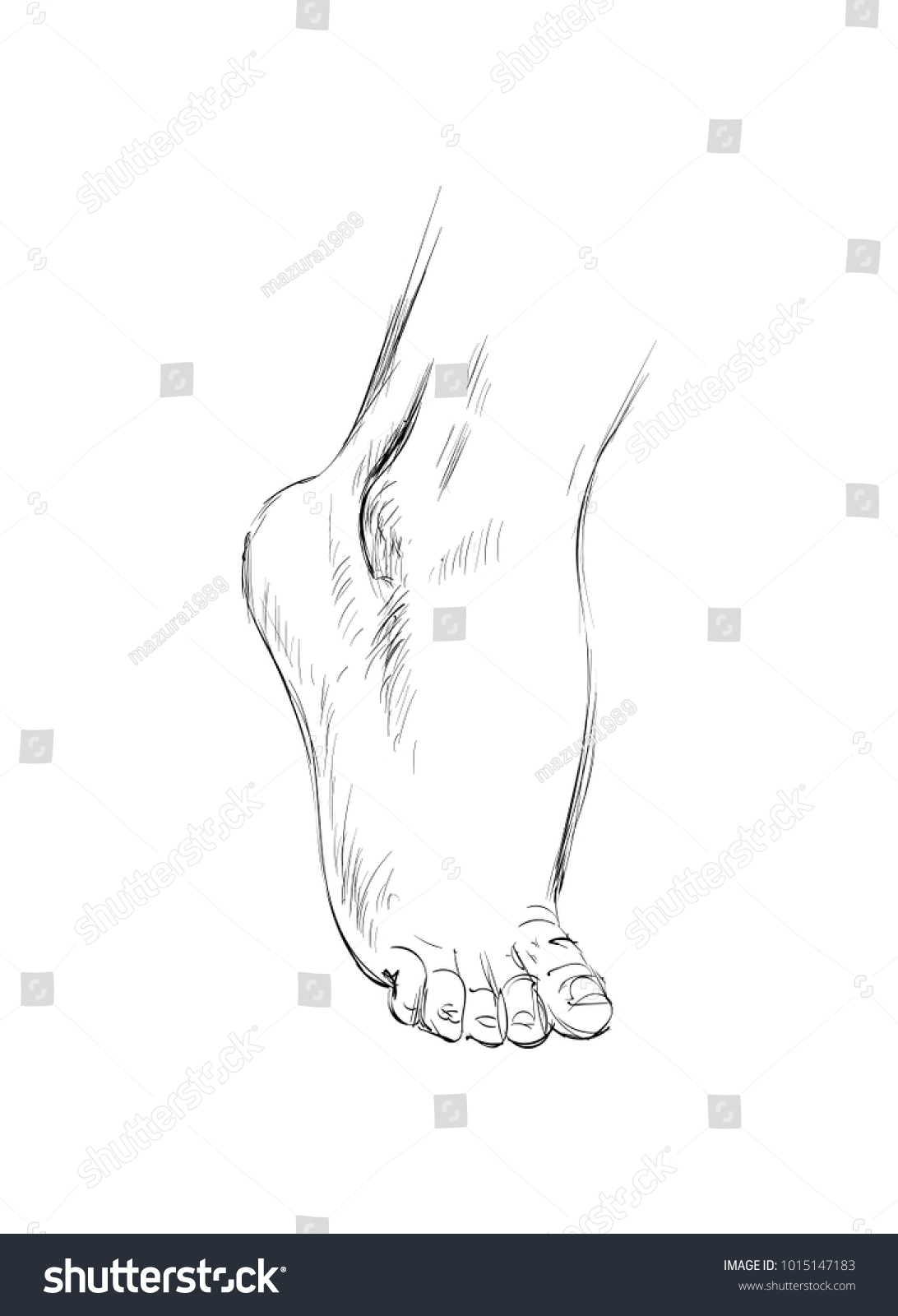 Hand Drawn Sketch Feet Vector Illustration Stock Vector (Royalty Free ...