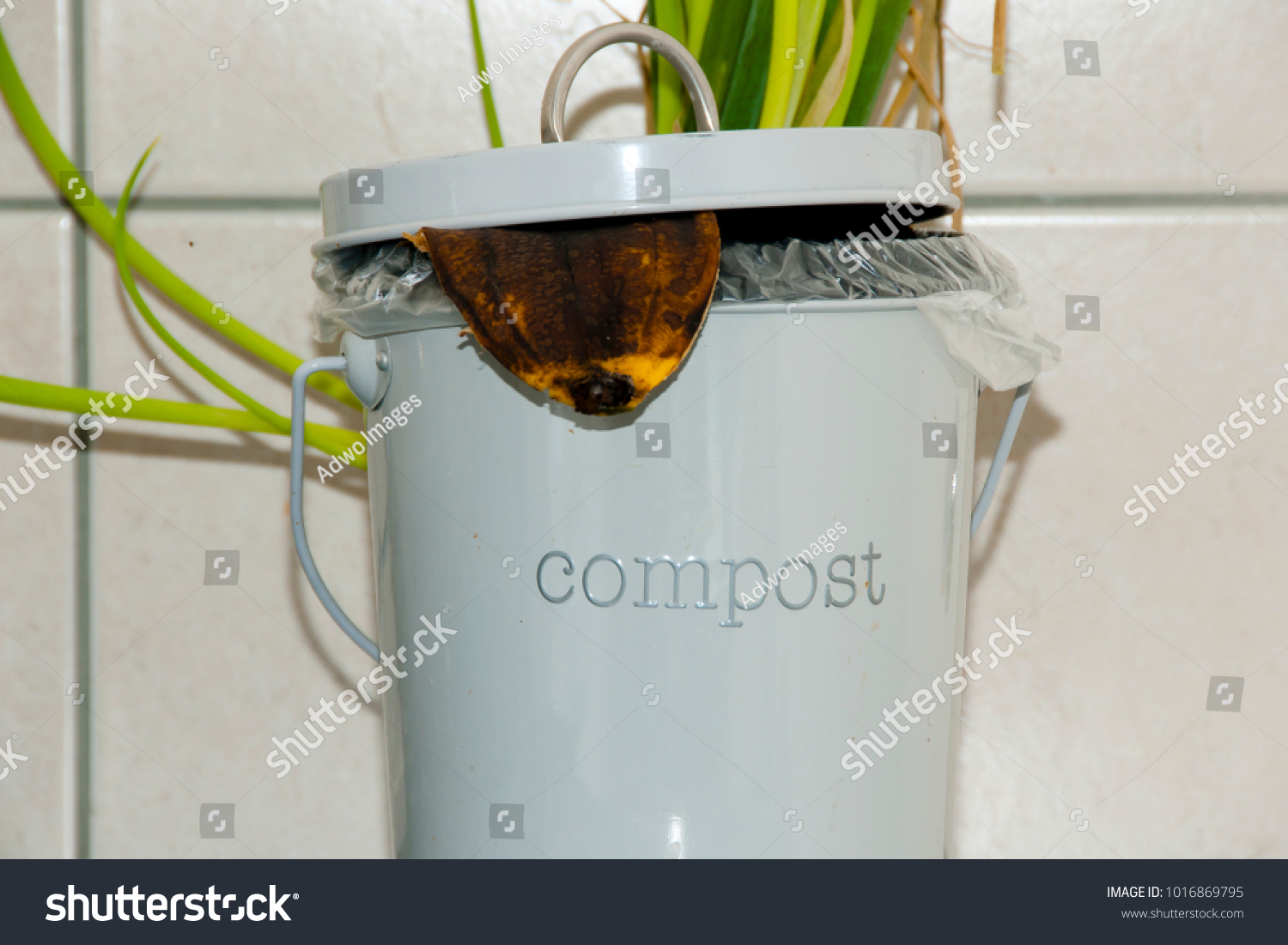 Kitchen Compost Bin Stock Photo 1016869795 Shutterstock   Stock Photo Kitchen Compost Bin 1016869795 