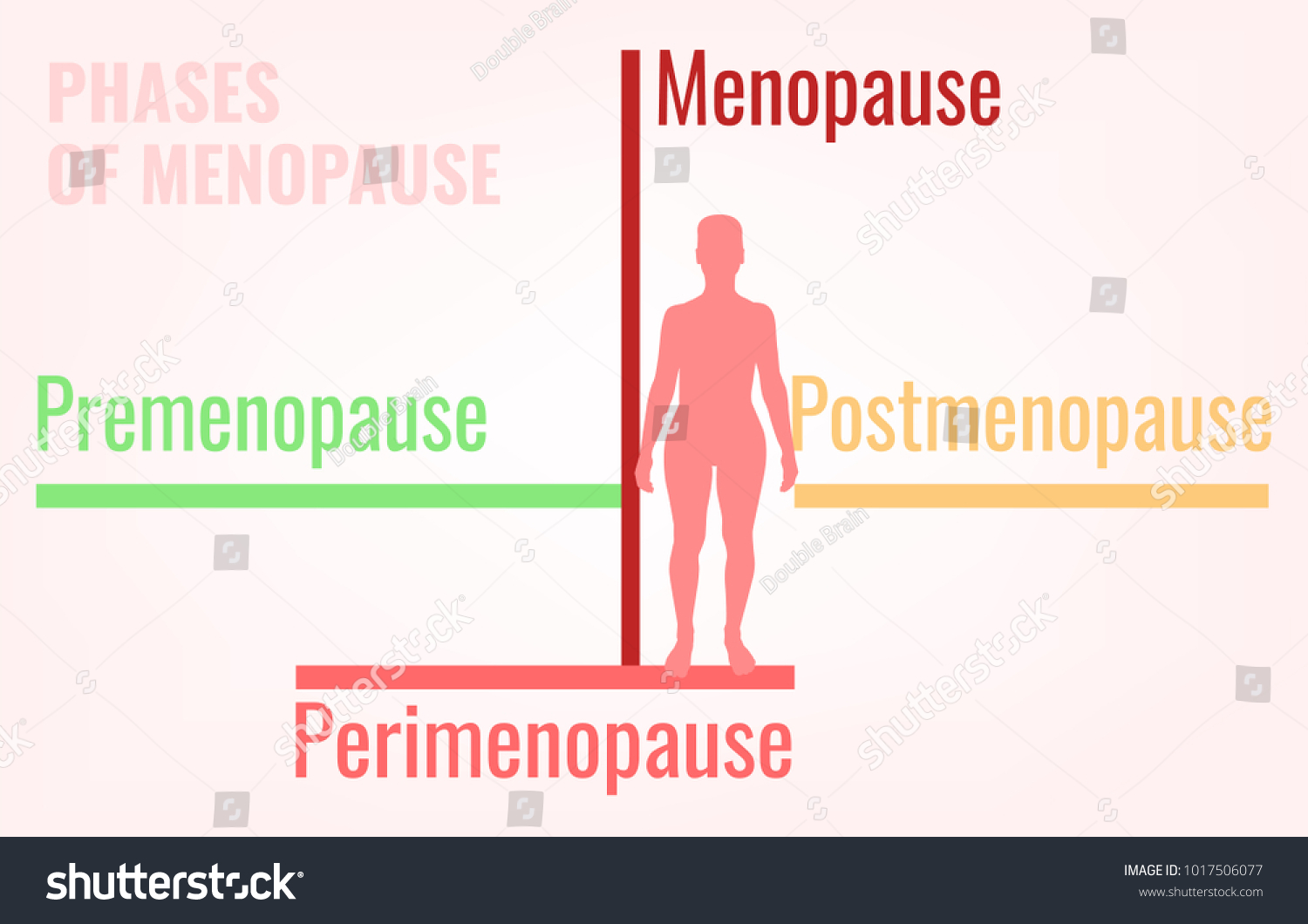 Stages Menopause Premenopause Perimenopause Postmenopause Simple Stock ...