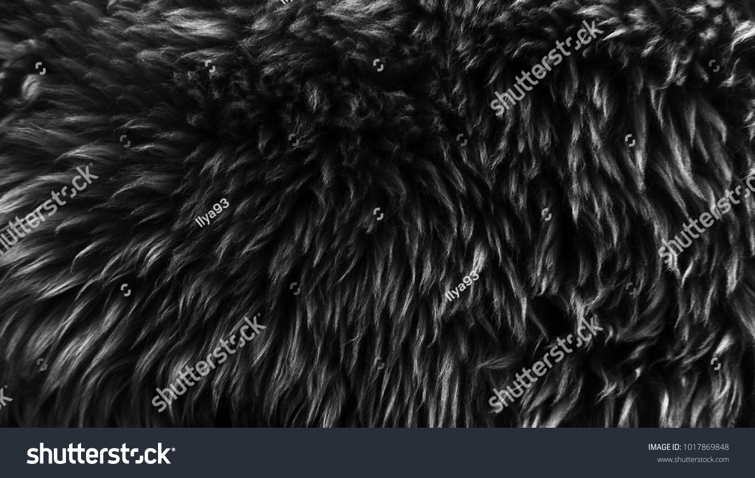 Black Wool Texture Background Dark Natural Stock Photo 1017869848 ...