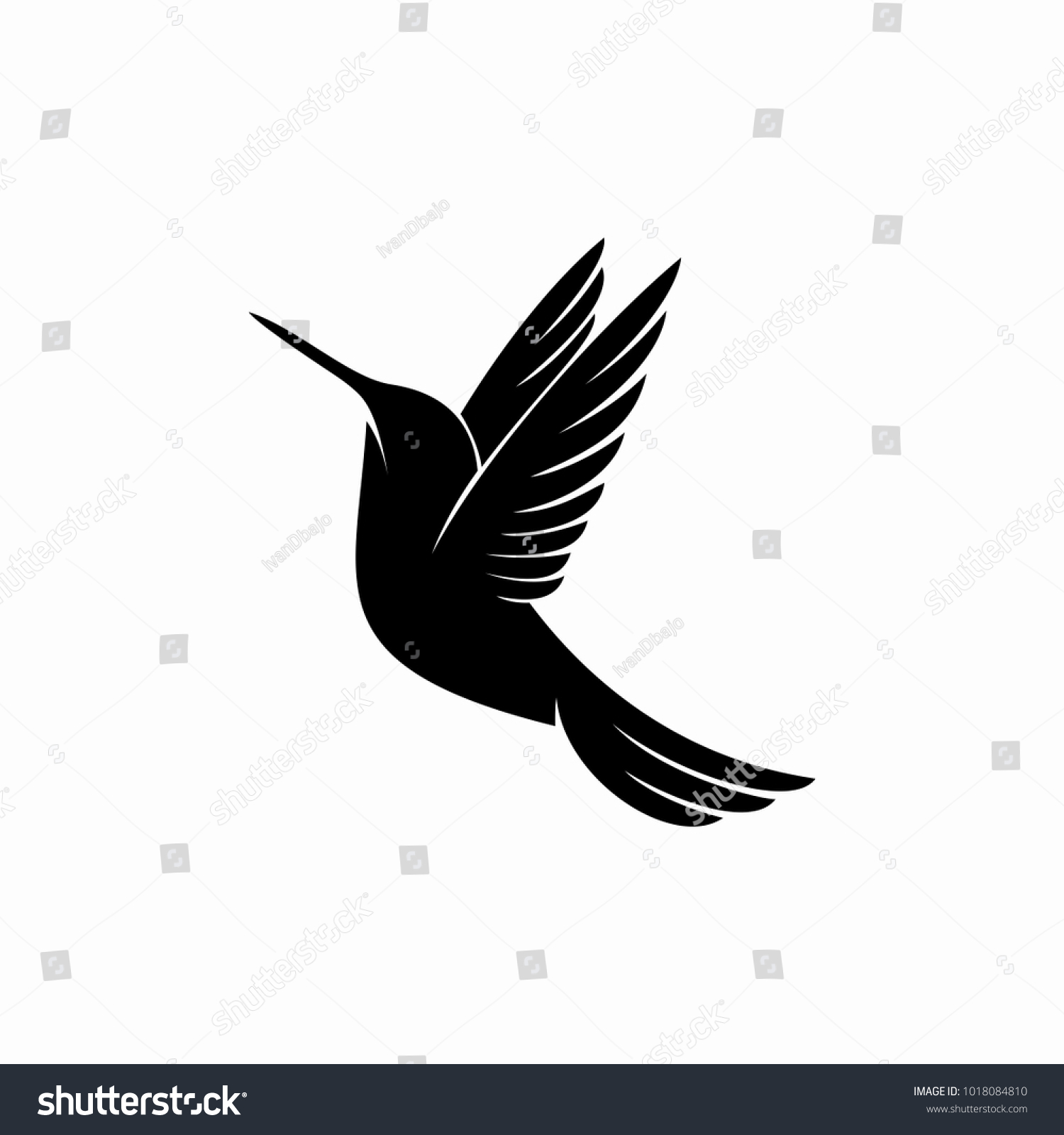 Hummingbird Logo Design Inspiration Isolated On Stock Vector (Royalty ...