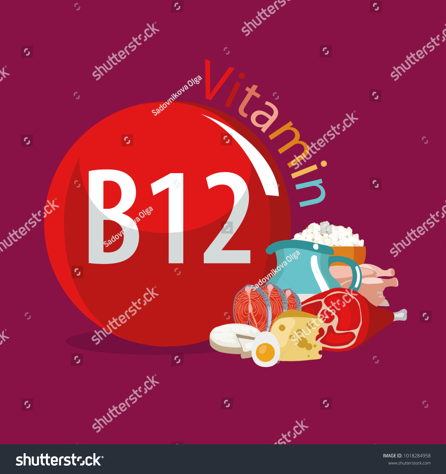 Vitamin B12 Food Sources Natural Organic Stock Vector (Royalty Free ...