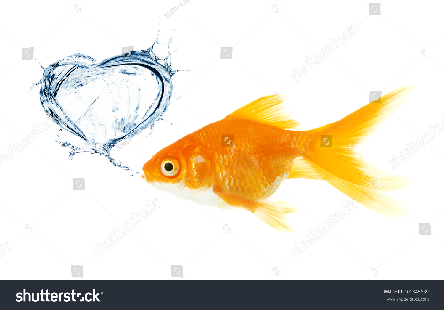 Сердце с рыбками
