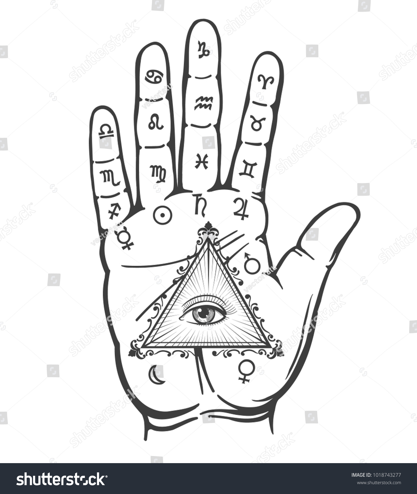 Palmistry Hand Vintage Hand Drawn Psychic Stock Vector (Royalty Free ...