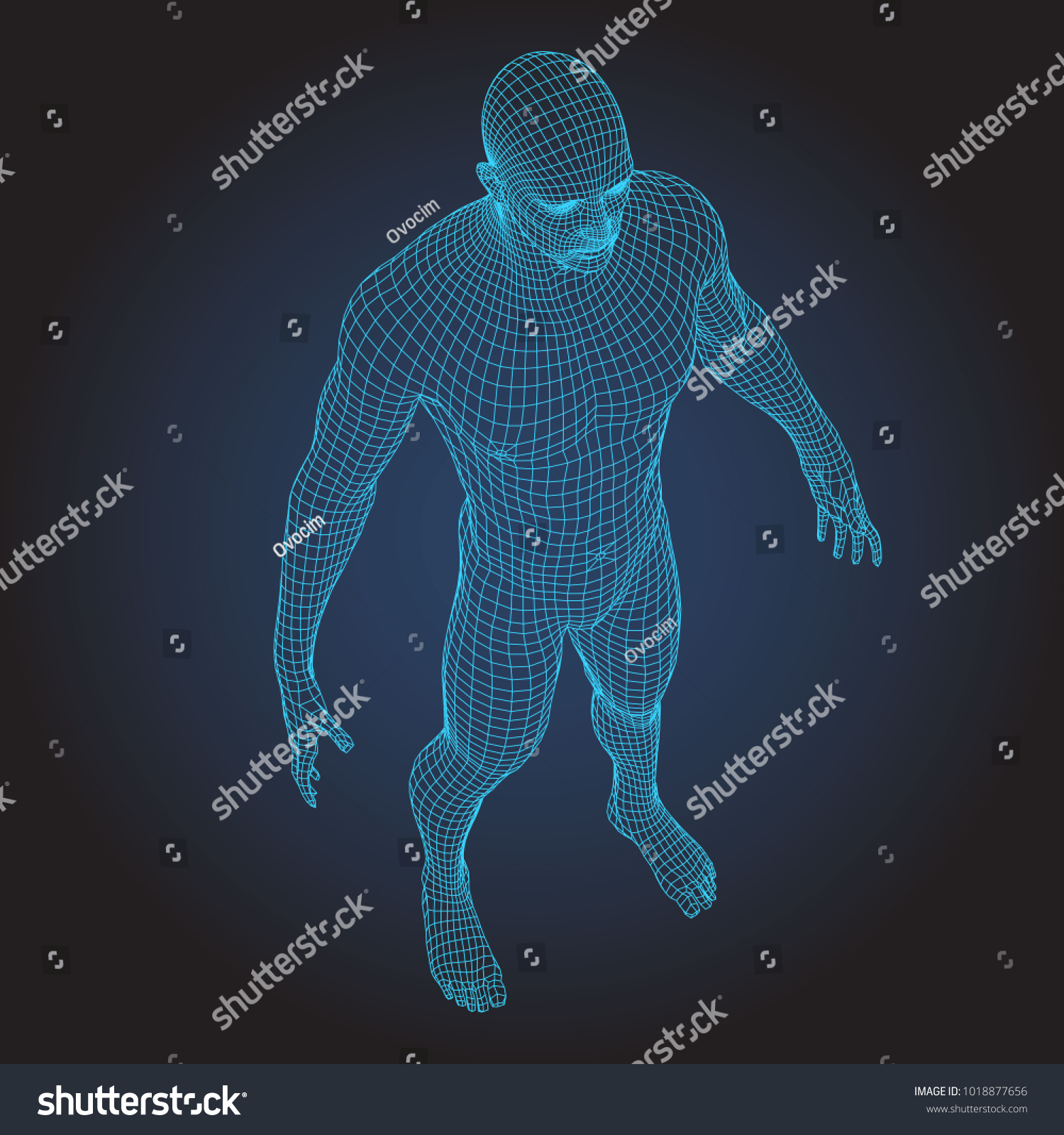 Wire Frame Human Full Body Virtual Stock Vector (Royalty Free ...