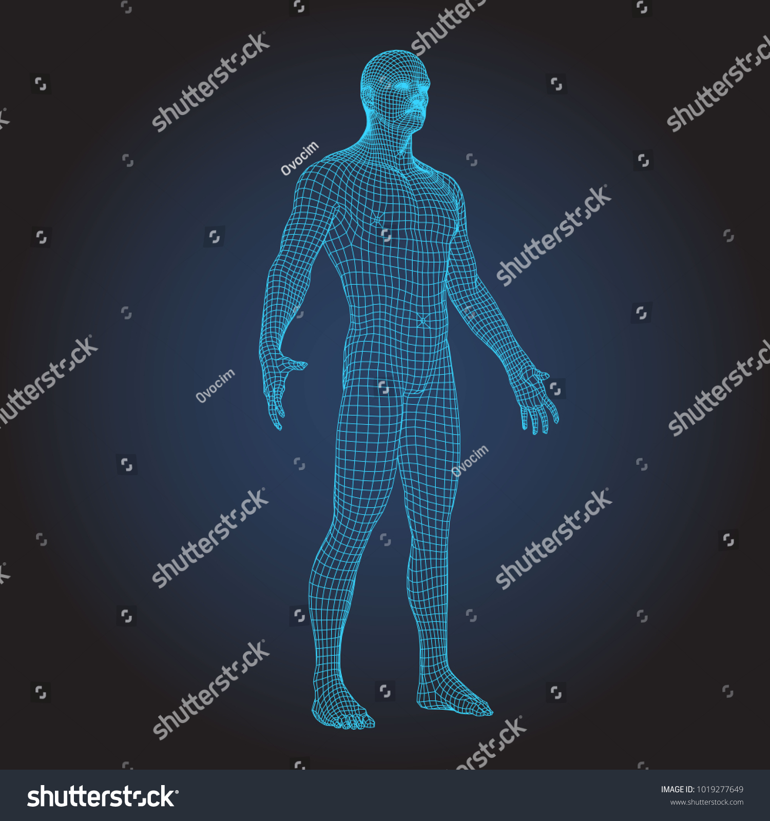 Wire Frame Human Full Body Virtual Stock Illustration 1019277649 ...