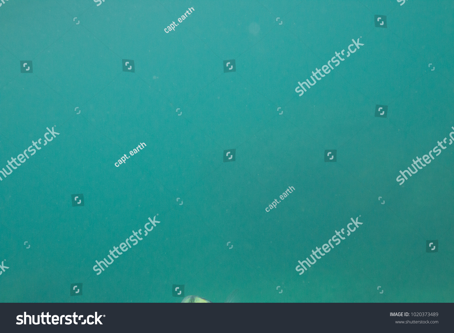 Plain Blue Underwater Texture Stock Photo 1020373489 | Shutterstock