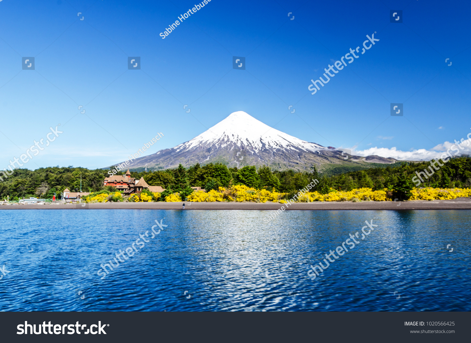 Osorno Volcano Llanquihue Lake Parque Nacional Stock Photo 1020566425 