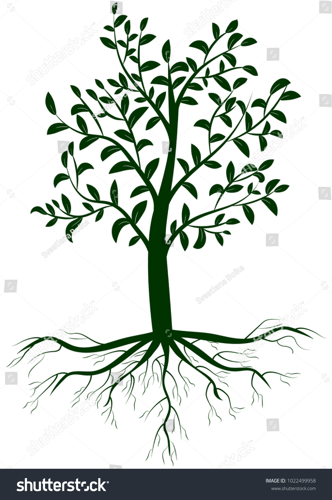 Tree Leaves Roots Vector Stock Vector (Royalty Free) 1022499958 ...