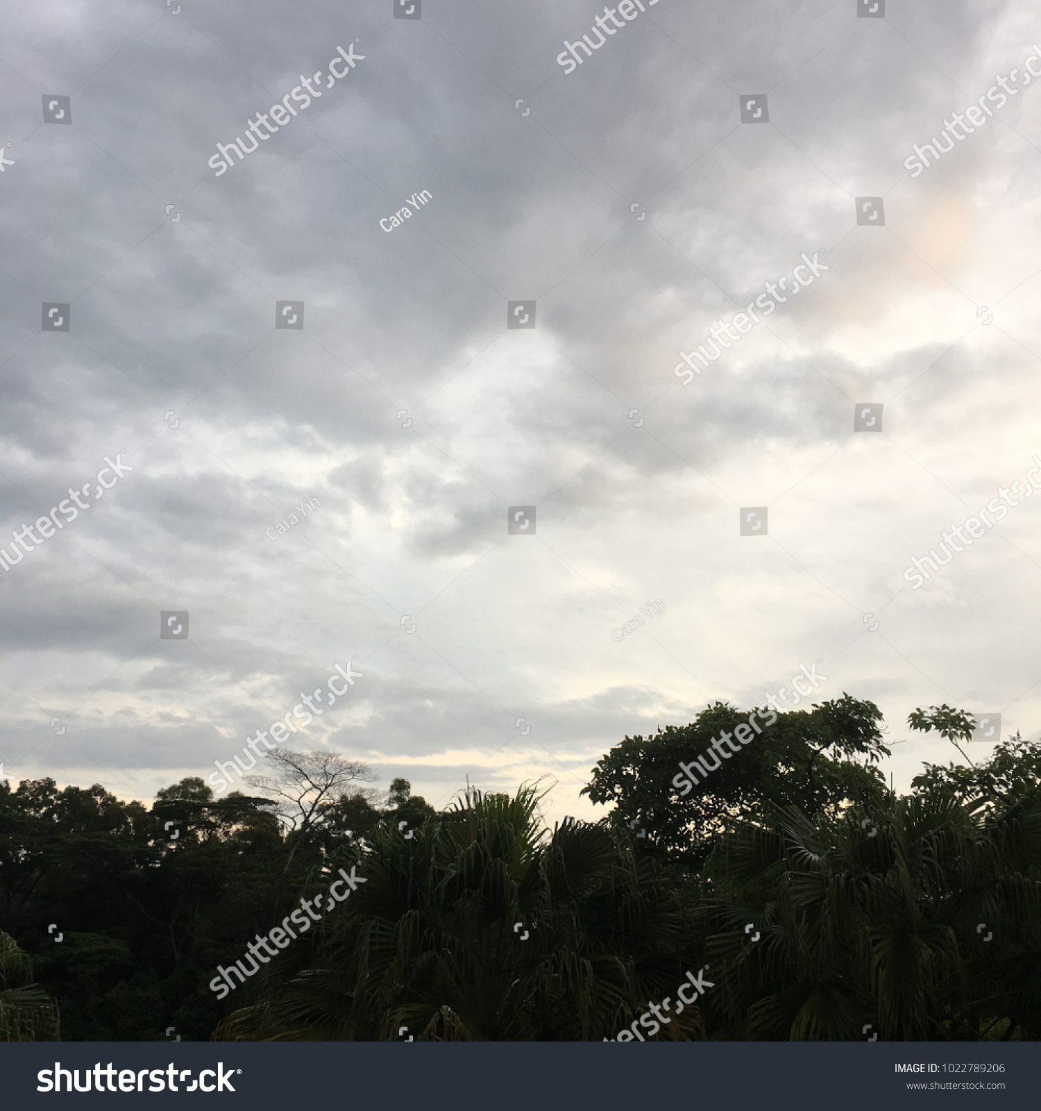 227 Gre Skies Images, Stock Photos & Vectors | Shutterstock