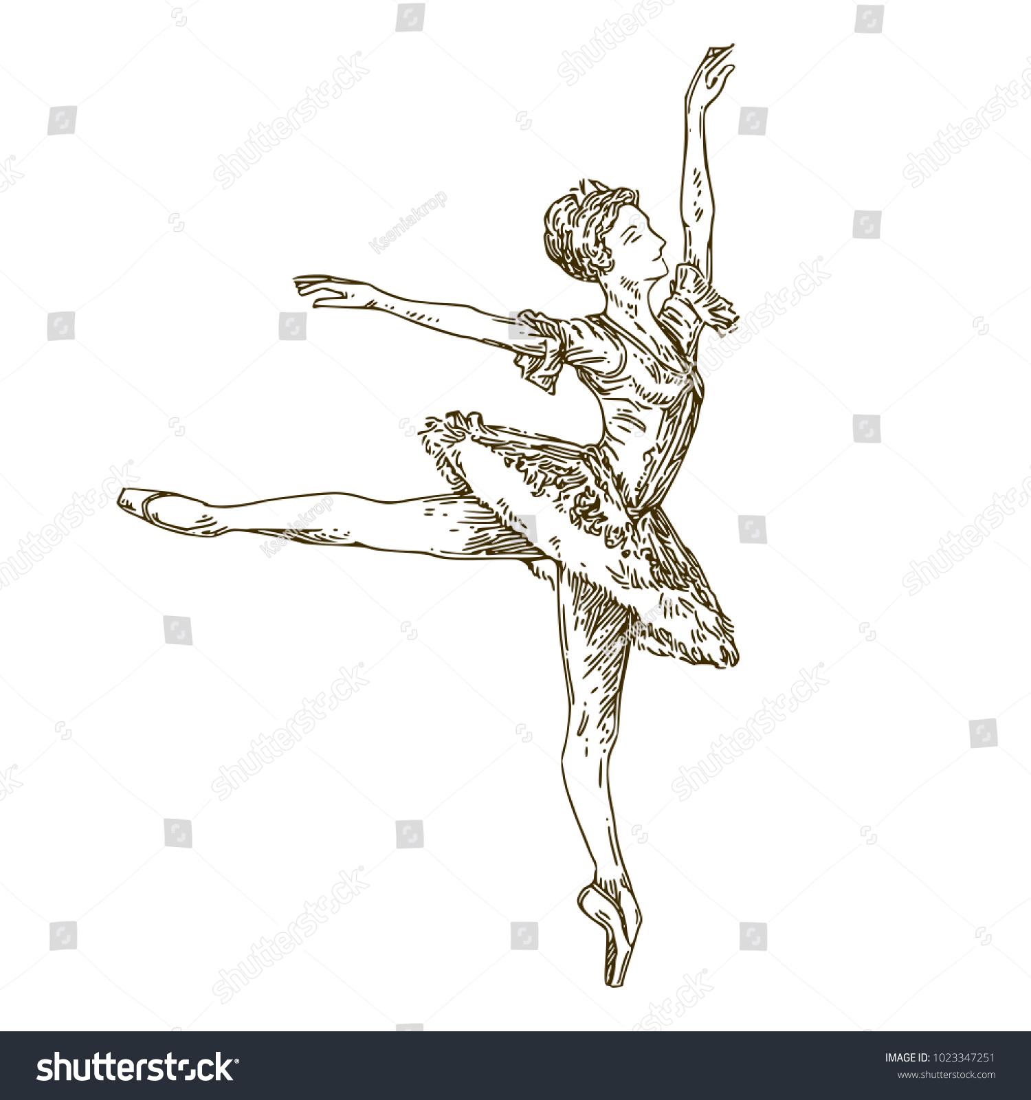 Ballerina Sketch Engraving Style Vector Illustration Stock Vector ...