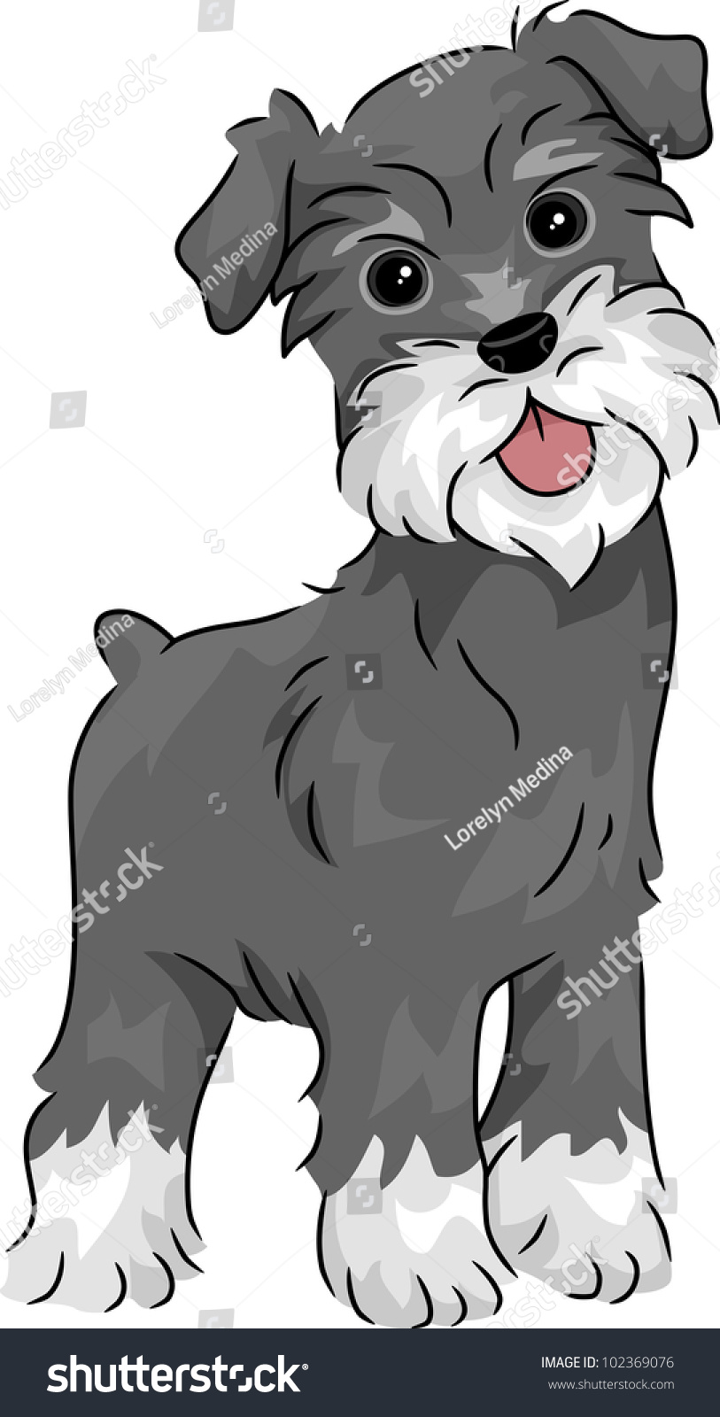 Illustration Featuring Miniature Schnauzer Stock Vector (Royalty Free ...