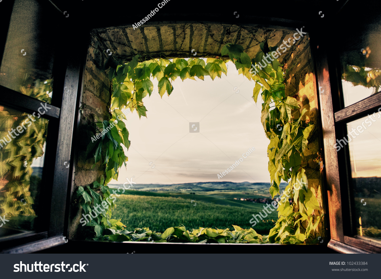 Окно с видом на поле