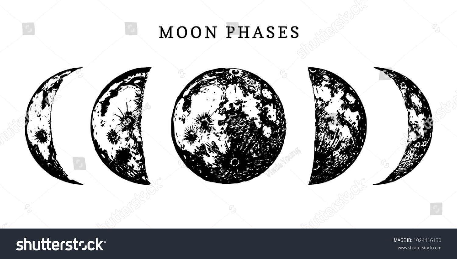Луна Векторная Графика