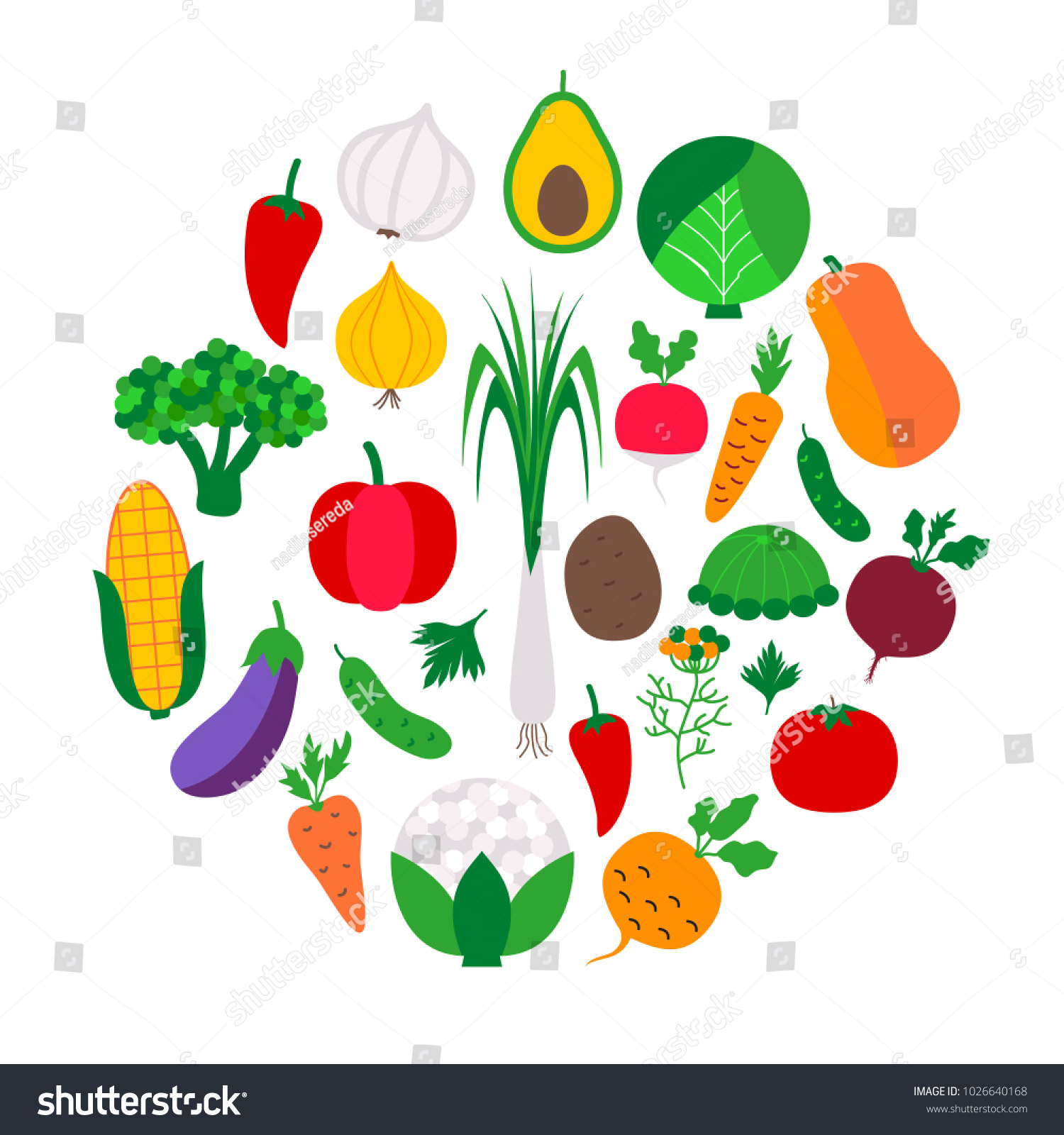 Vegetable Set Circle Vector Illustration Vegetables Stock Vector ...