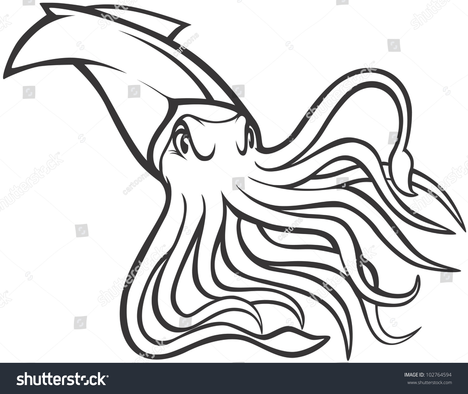 Гигантский морской кальмар рисунок