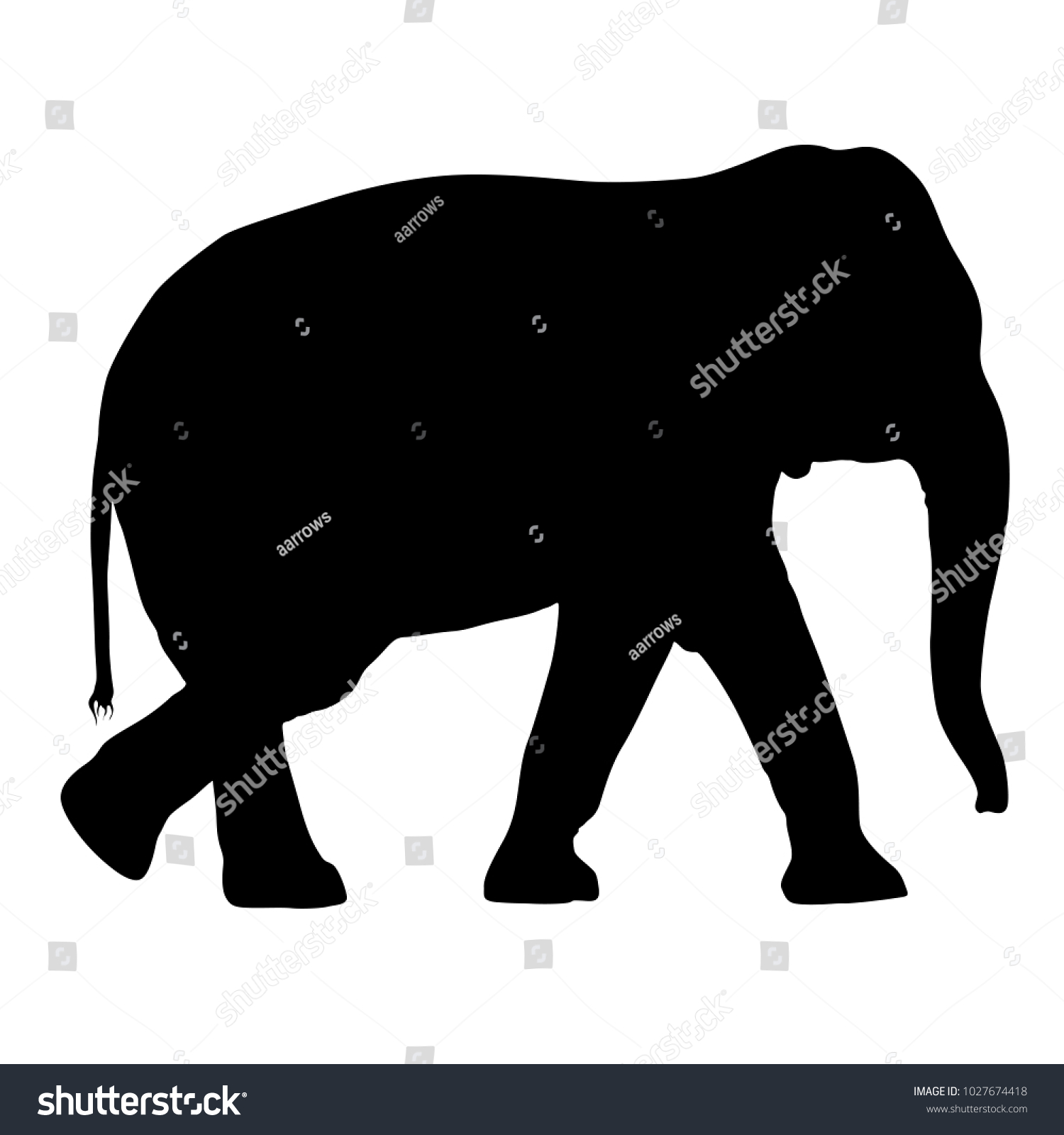 Silhouette Large African Elephant On White Stock Vector (royalty Free 