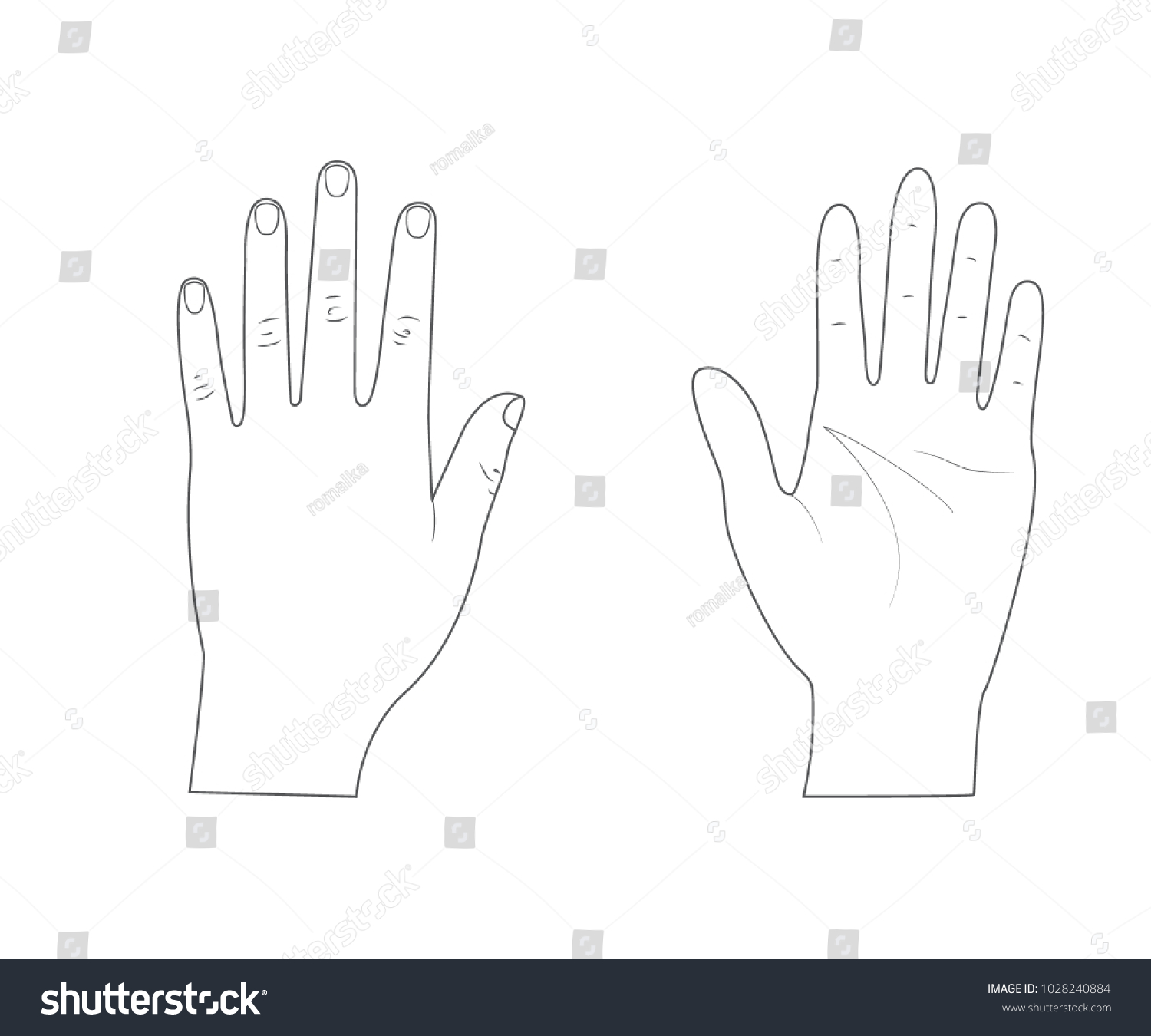 Woman Hands Back Hand Palm Hand Stock Vector (Royalty Free) 1028240884 ...