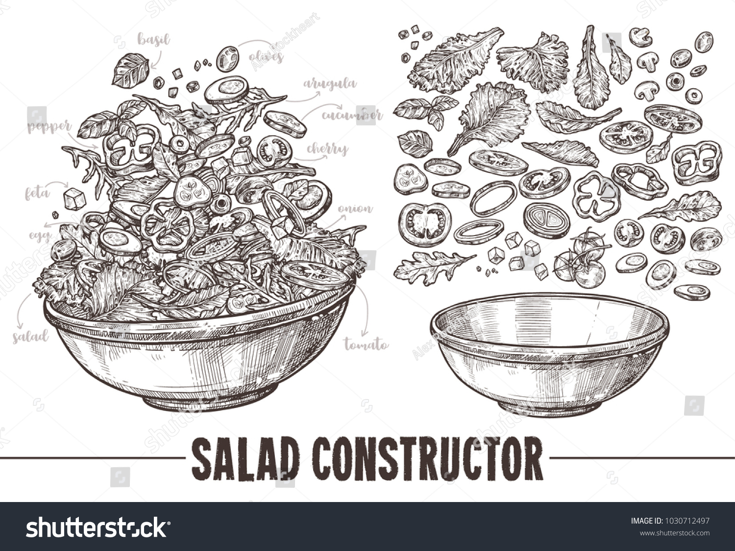 Salad Sketch