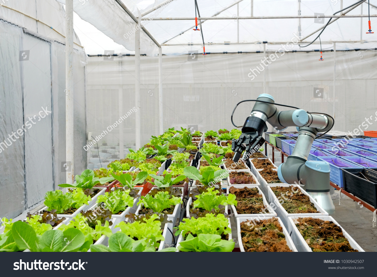 3,141 Horticultural Machinery Images, Stock Photos & Vectors | Shutterstock