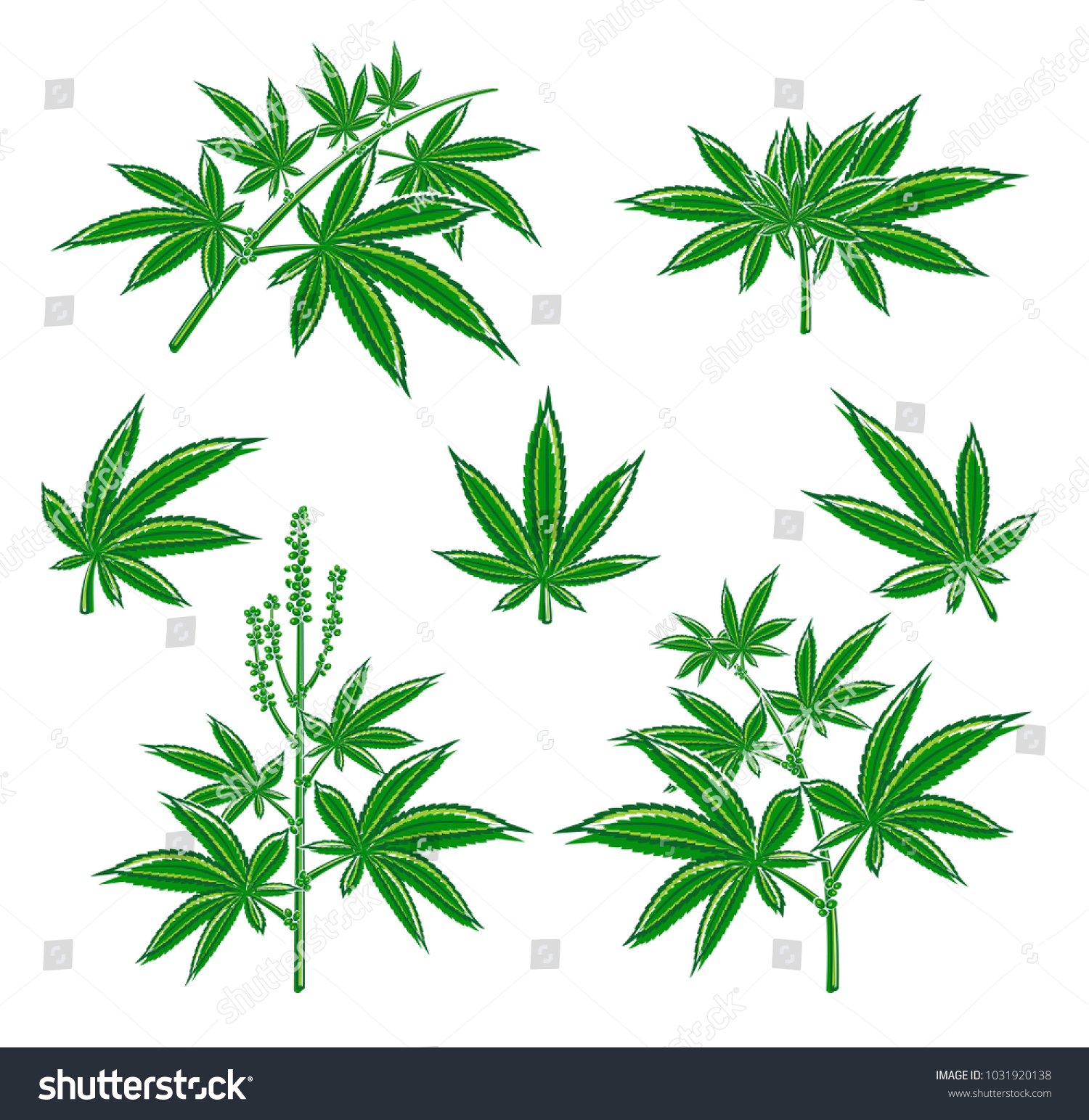 Cannabis Marijuana Set Vector Stock Vector (Royalty Free) 1031920138 ...