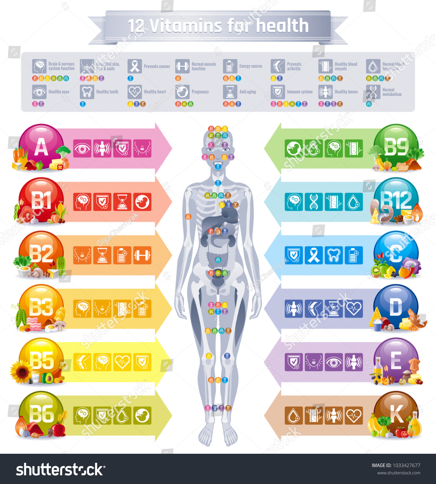 Mineral Vitamin Supplement Human Body Food Stock Vector (Royalty Free ...