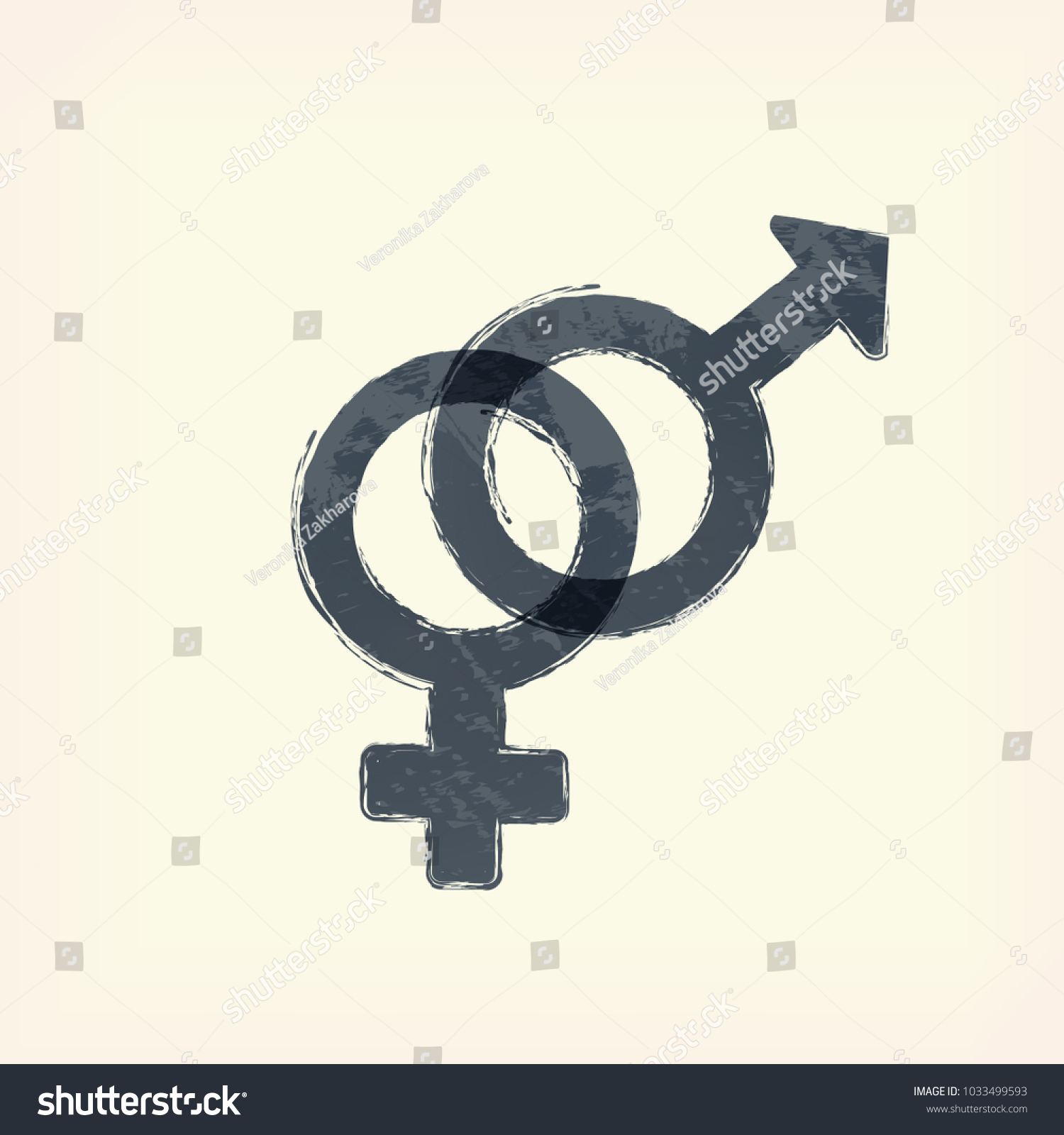 Gray Sex Man Woman Male Female Stock Vector Royalty Free 1033499593 Shutterstock