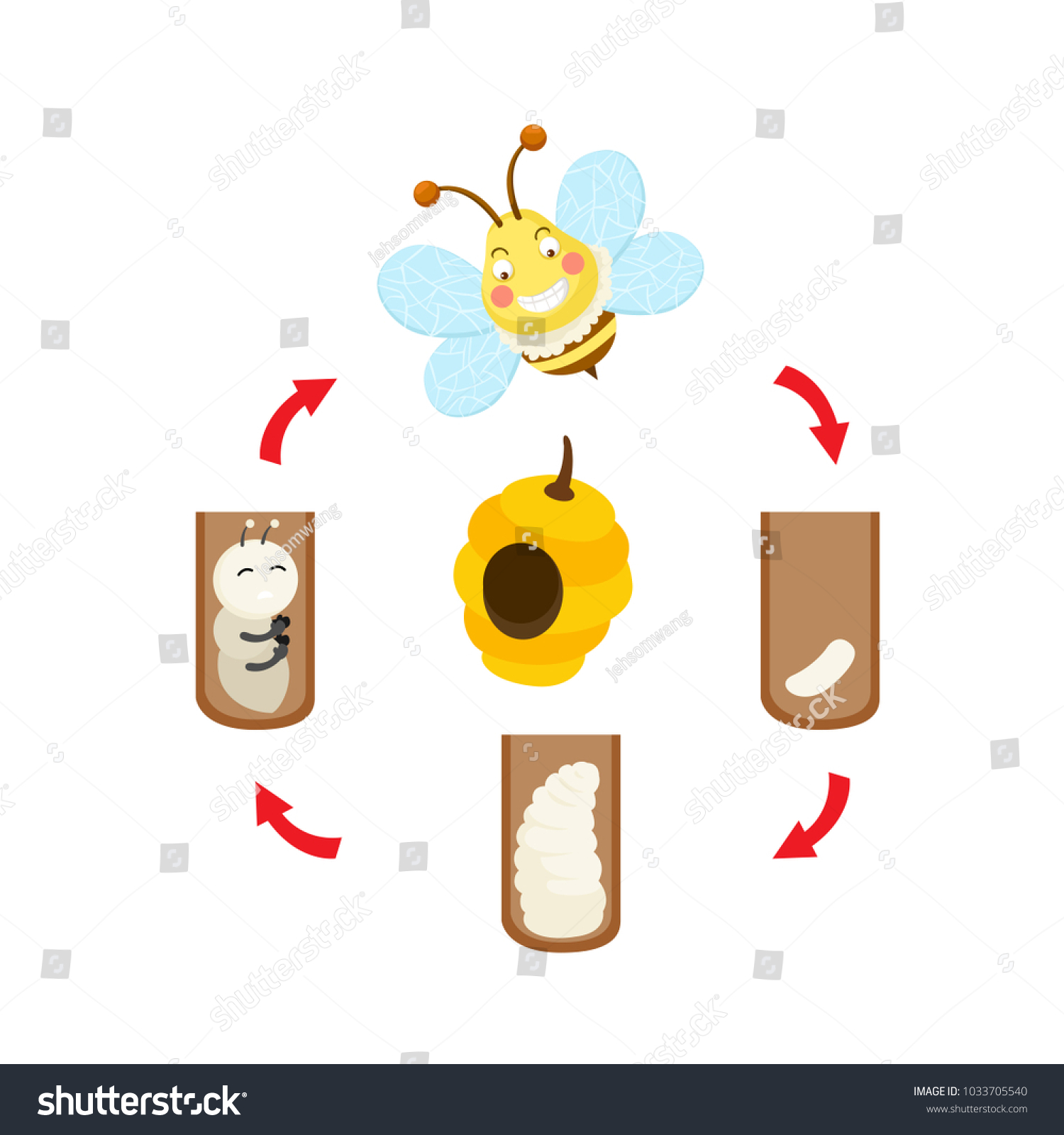 Illustration Life Cycle Bee Vector Stock Vector (Royalty Free ...