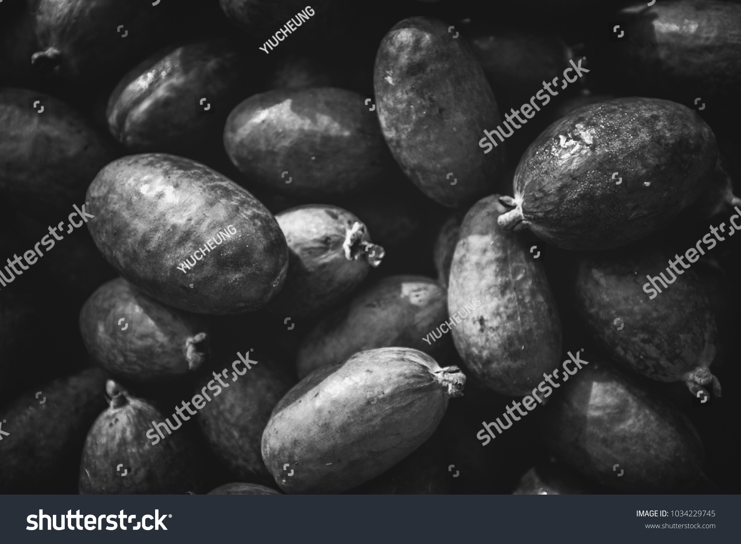 Fruits Vegetables Black White Tone Stock Photo 1034229745 | Shutterstock