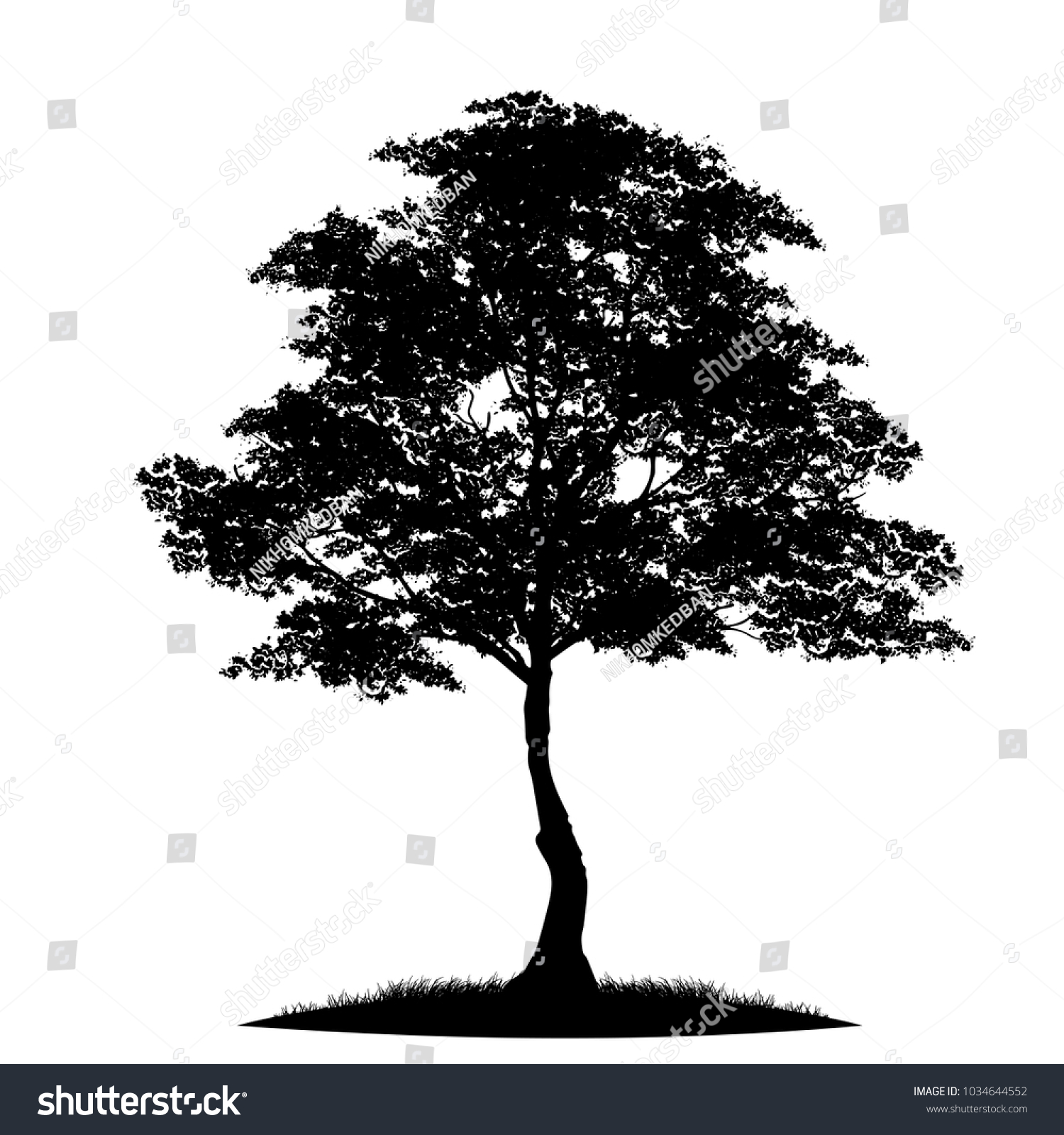 Tree Silhouette Isolated On White Background Stock Vector (Royalty Free ...