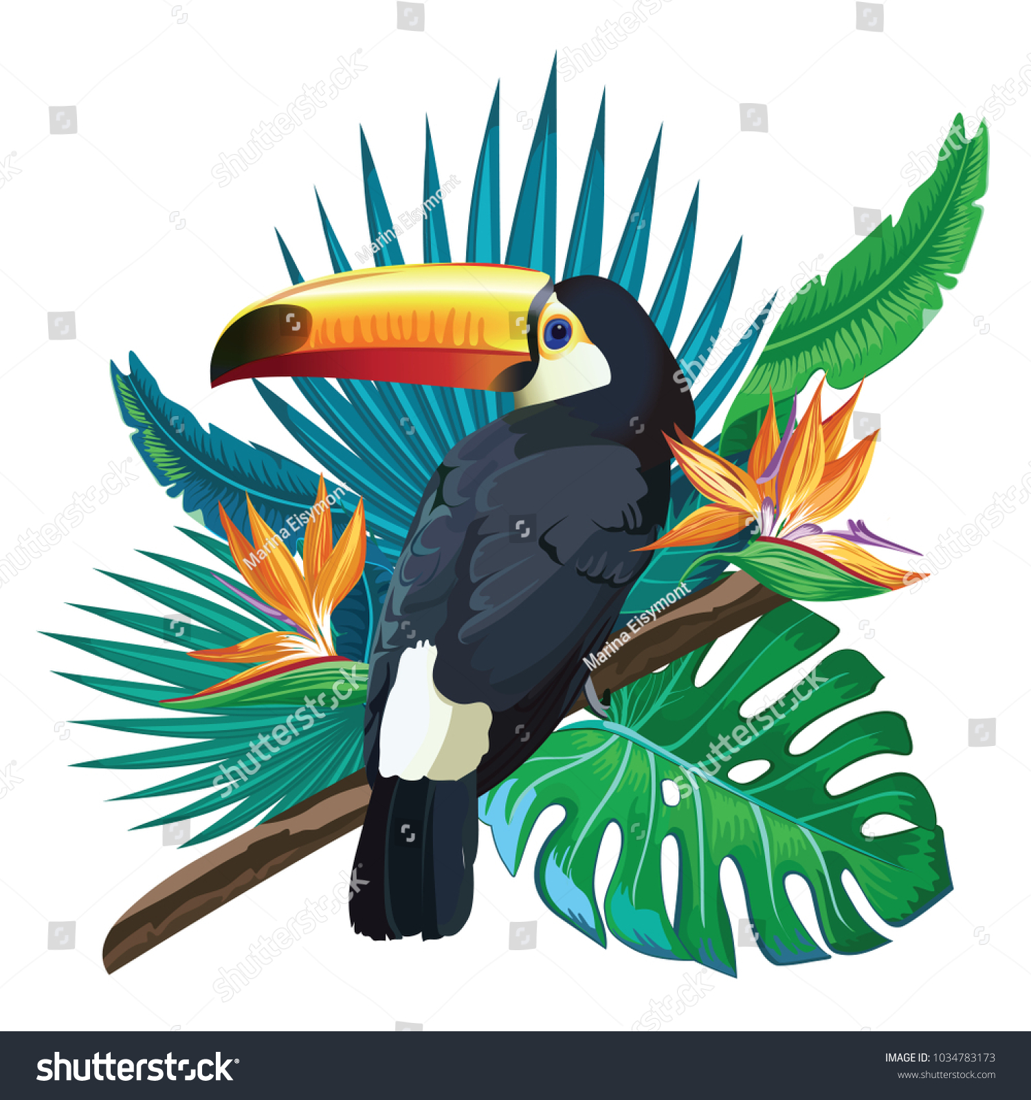 Tropical Bird in Tree vector