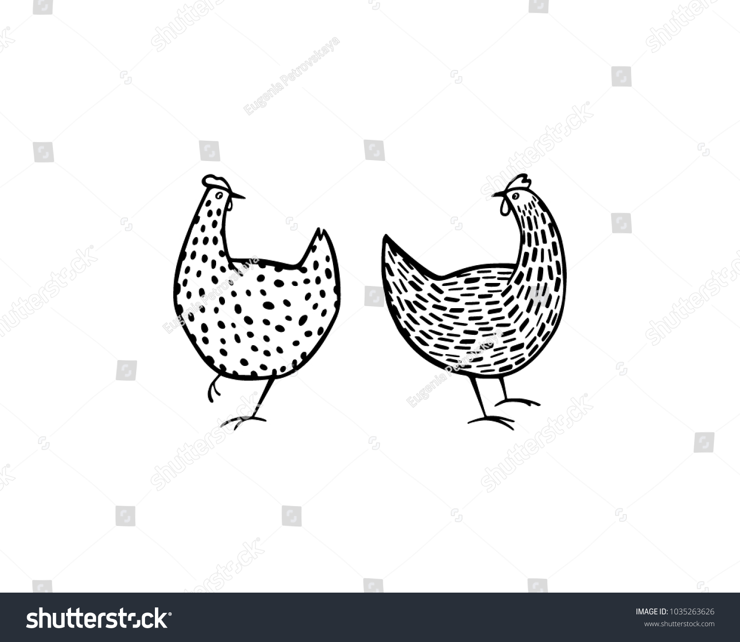 Vector Illustration Two Hand Drawn Chickens Stock Vector (Royalty Free ...