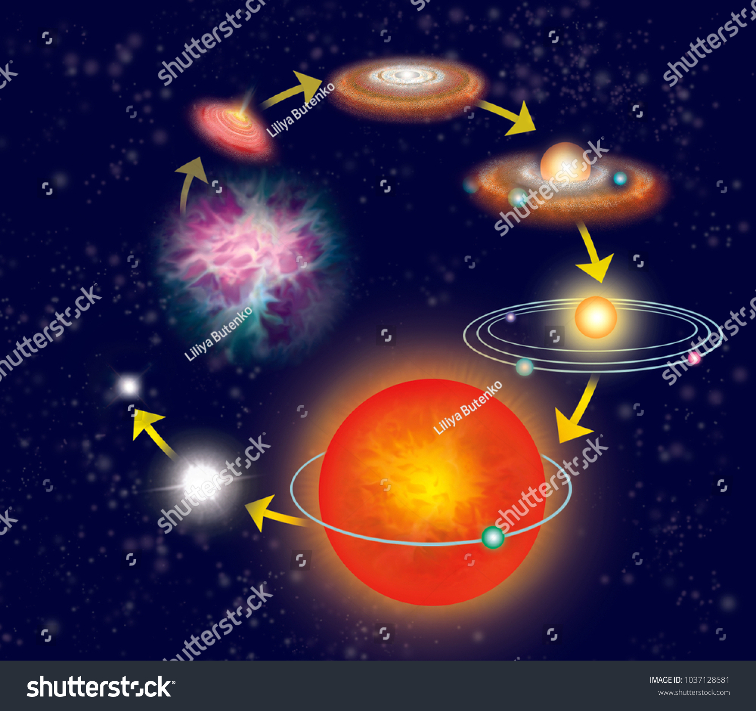 Life Cycle Star Scheme Stock Illustration 1037128681 | Shutterstock