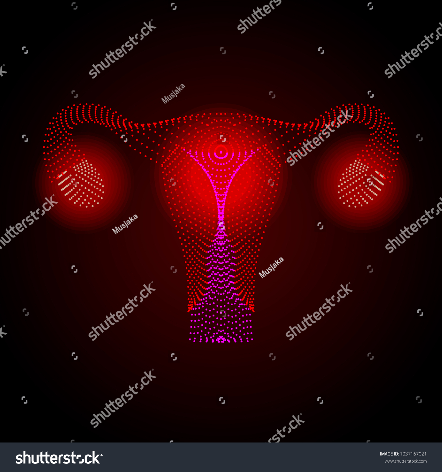 Vektor Stok Uterus Ovary Cervix Fallopian Tubes Isolated Tanpa Royalti