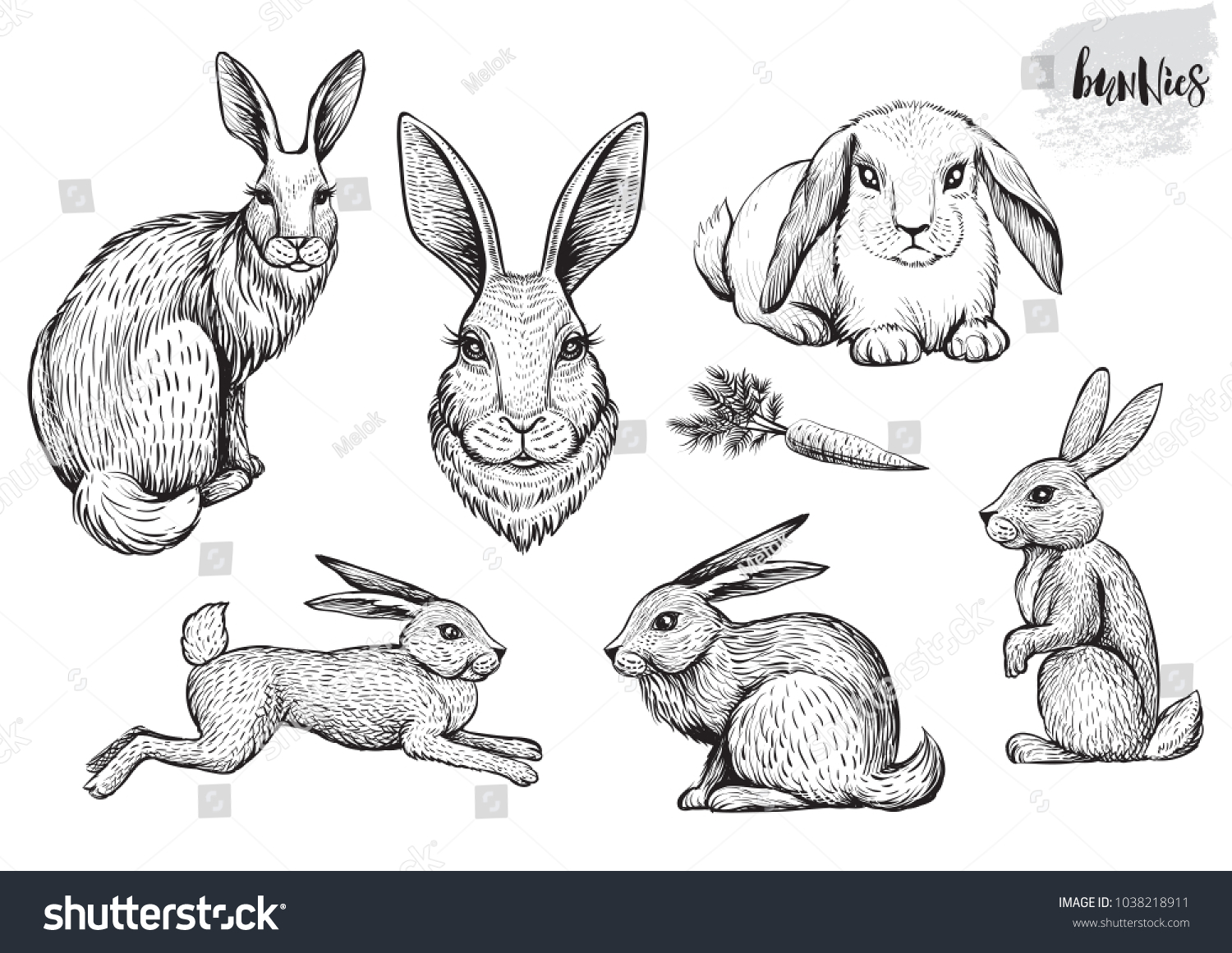 Rabbit Hare Hand Drawn Vector Illustrations Stock Vector (Royalty Free ...