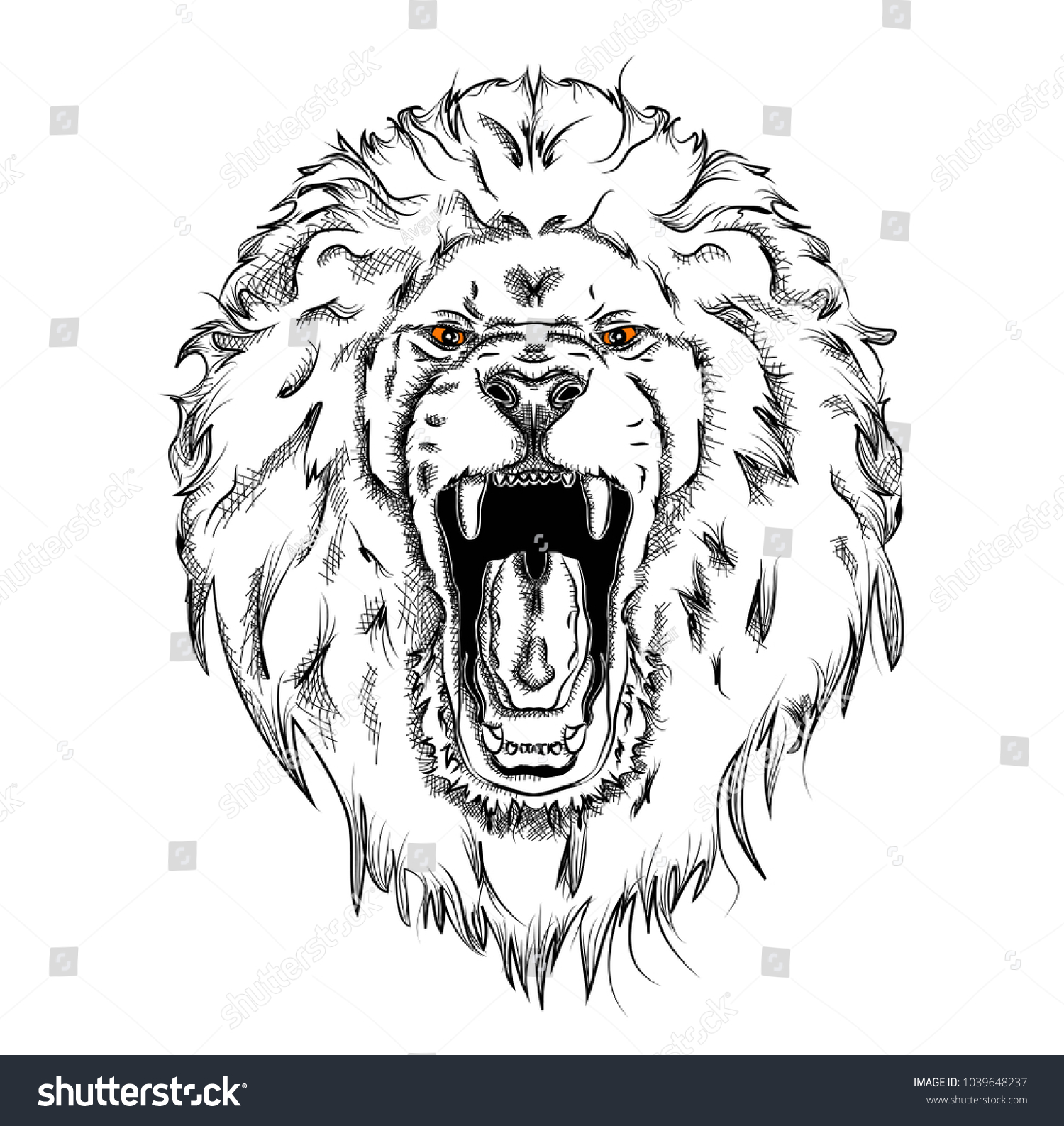 lion teeth drawing